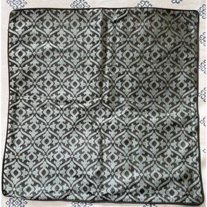 Restoration Hardware Pillow Sham Cover 100% Silk No Insert Cover Only 19x19 Flaw